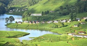 Munnar, Kerala