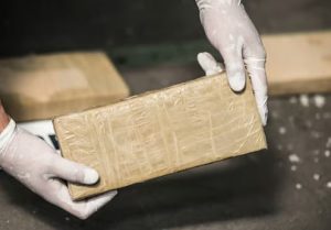 DRI seizes 4 kg cocaine worth ₹40 crore at Bengaluru airport; 1 arrested