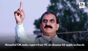 Himachal CM seeks report from VC on disease-hit apple orchards