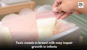 Toxic metals in breast milk may impair growth in infants