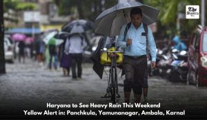 Rain warning in 4 districts of Haryana today: IMD issued orange alert