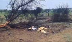 Two pilots killed in IAF Jaguar fighter jet crash at Rajasthan’s Churu