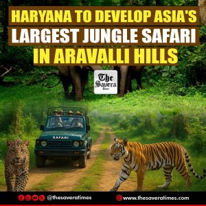 Haryana to develop Asia’s largest jungle safari in Aravalli Hills