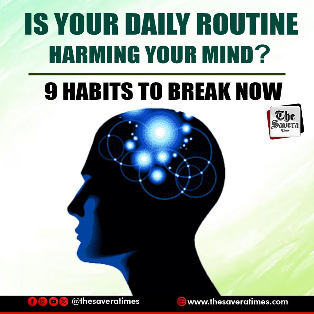 Daily Routine