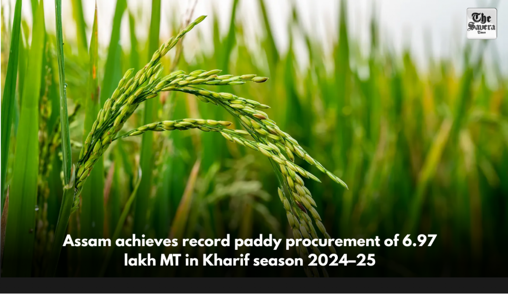 Assam achieves record paddy procurement of 6.97 lakh MT in Kharif season 2024–25