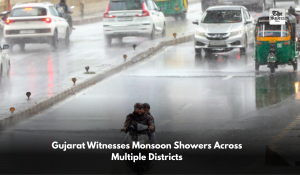 Gujarat Witnesses Monsoon Showers Across Multiple Districts