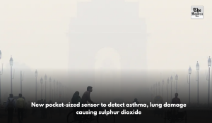 New pocket-sized sensor to detect asthma, lung damage causing sulphur dioxide