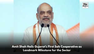 Amit Shah Hails Gujarat’s First Salt Cooperative as Landmark Milestone for the Sector