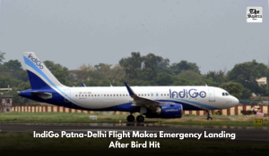 IndiGo Patna-Delhi Flight Makes Emergency Landing After Bird Hit