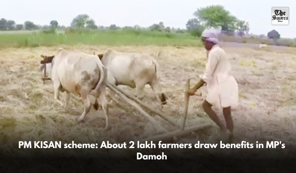PM KISAN scheme: About 2 lakh farmers draw benefits in MP's Damoh