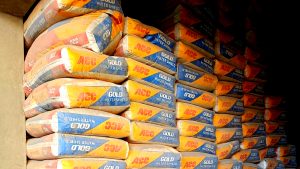 Himachal: ACC Gold Cement becomes expensive during rainy season
