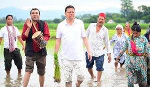 Uttarakhand CM Pushkar Dhami plants paddy in Khatima, pays tribute to hard work of farmers