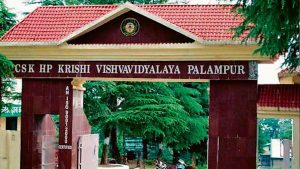 Himachal: Raj Bhavan responds on appointment of the acting Vice Chancellor, next hearing on Nov 12