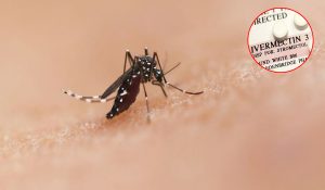 Mosquito killing pill, Ivermectin drops malaria by 26%: Study
