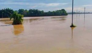 Flood threat in Northern Odisha, Govt closely monitoring 3 rivers