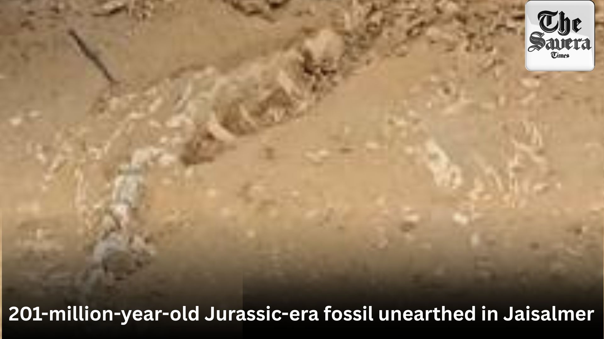 201-million-year-old Jurassic-era fossil unearthed in Jaisalmer