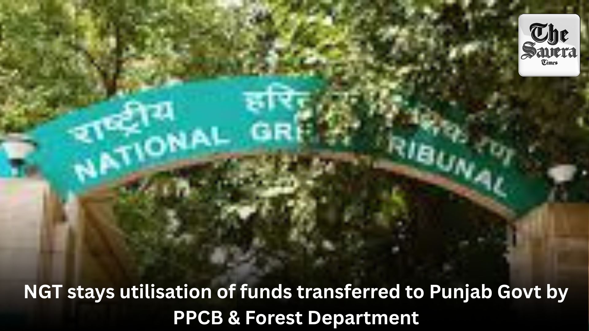 NGT stays utilisation of funds transferred to Punjab Govt by PPCB & Forest Department