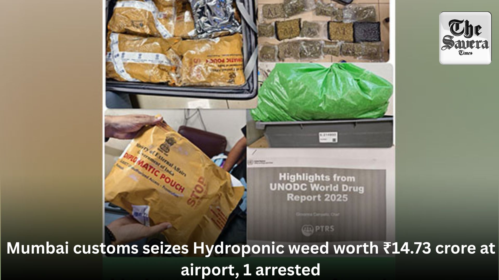 Mumbai customs seizes Hydroponic weed worth ₹14.73 crore at airport, 1 arrested