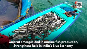 Gujarat emerges 2nd in marine fish production, Strengthens Role in India’s Blue Economy