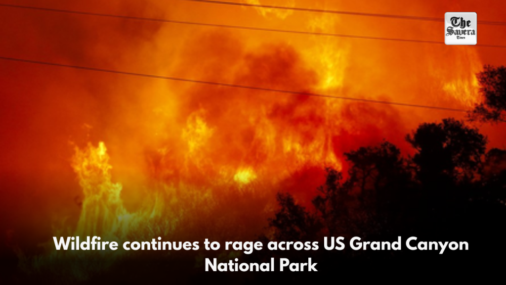 Wildfire continues to rage across US Grand Canyon National Park