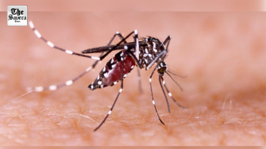 Health department on high alert as dengue cases surge in Patna