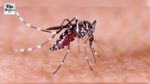 Health department on high alert as dengue cases surge in Patna