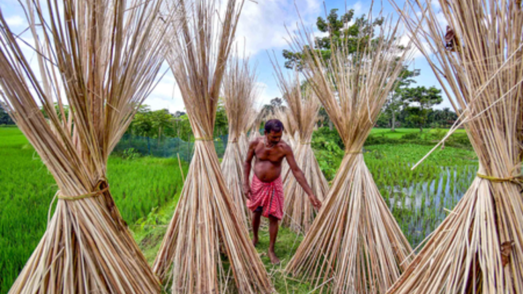 India bans imports of more goods from Bangladesh