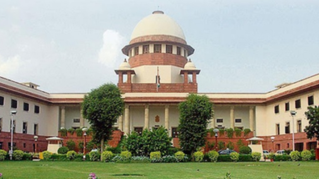 SC will Review Stray Dog Relocation in Delhi-NCR, Says CJI Gavai