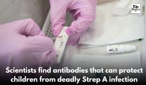 Scientists find antibodies that can protect children from deadly Strep A infection