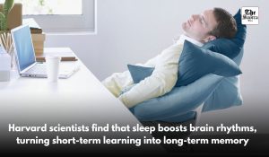 Nap break improves performance by converting short-term task data into long-term memory