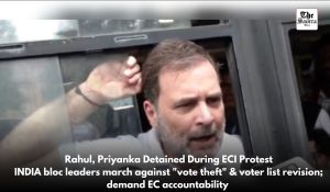 Delhi Police detain Rahul Gandhi, INDIA bloc MPs during protest march to ECI