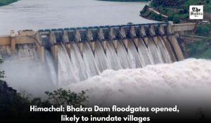 Bhakra Dam Floodgates Opened After Alarming Water Rise; Punjab, HP on High Alert