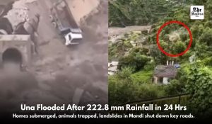 Himachal hit by torrential rains: Una records 222.8 mm in 24 hours, Yellow alert issued for 5 districts