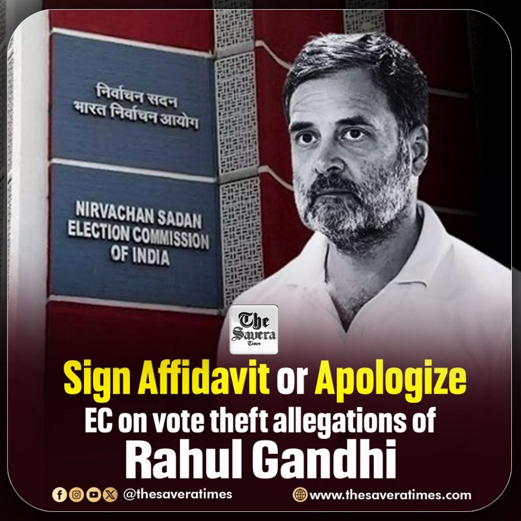 vote theft
