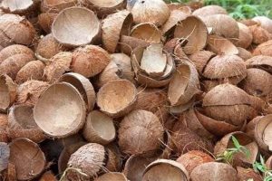 Demand drives coconut shell prices to record high in Kerala