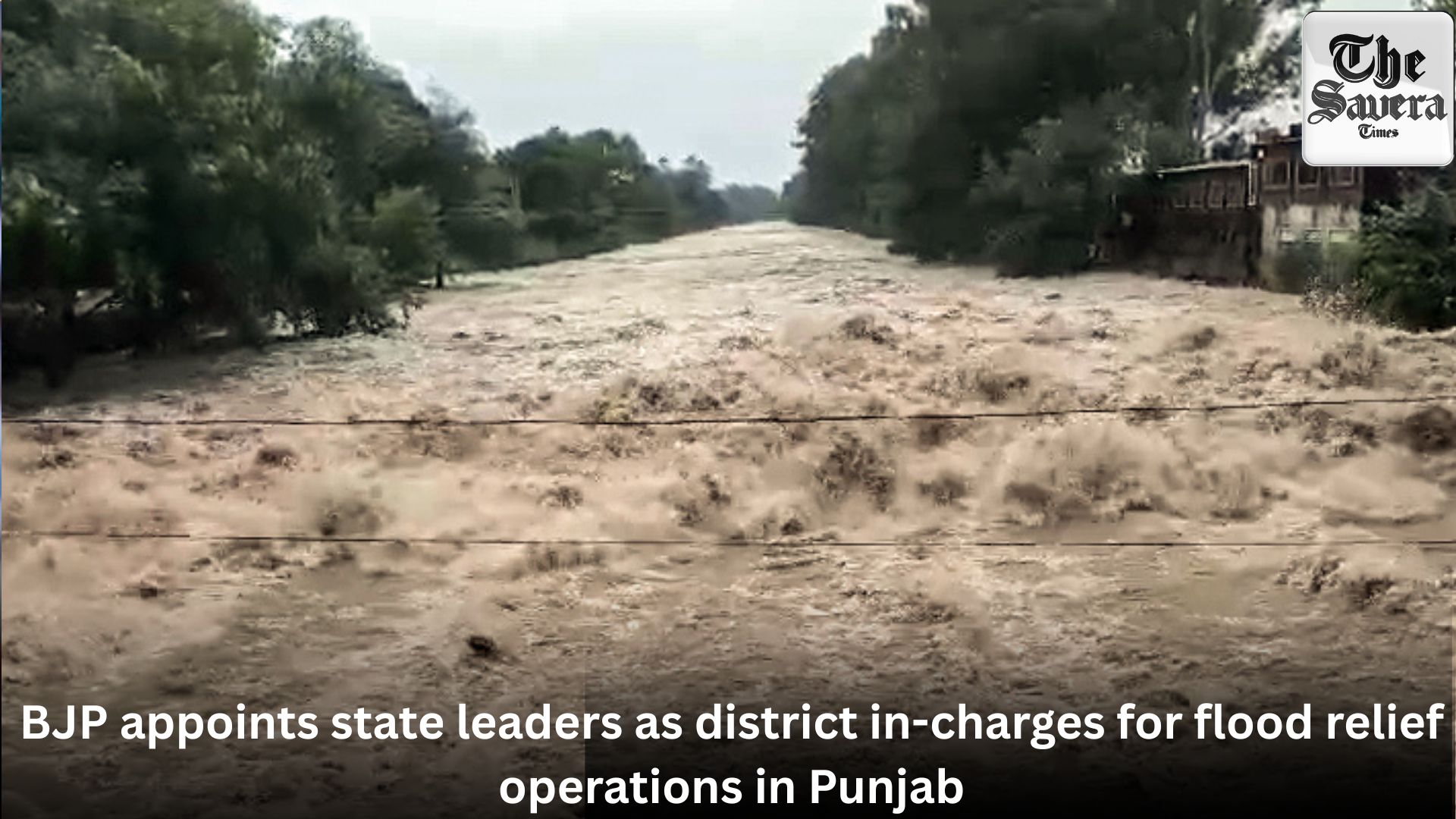 BJP appoints state leaders as district in-charges for flood relief operations in Punjab
