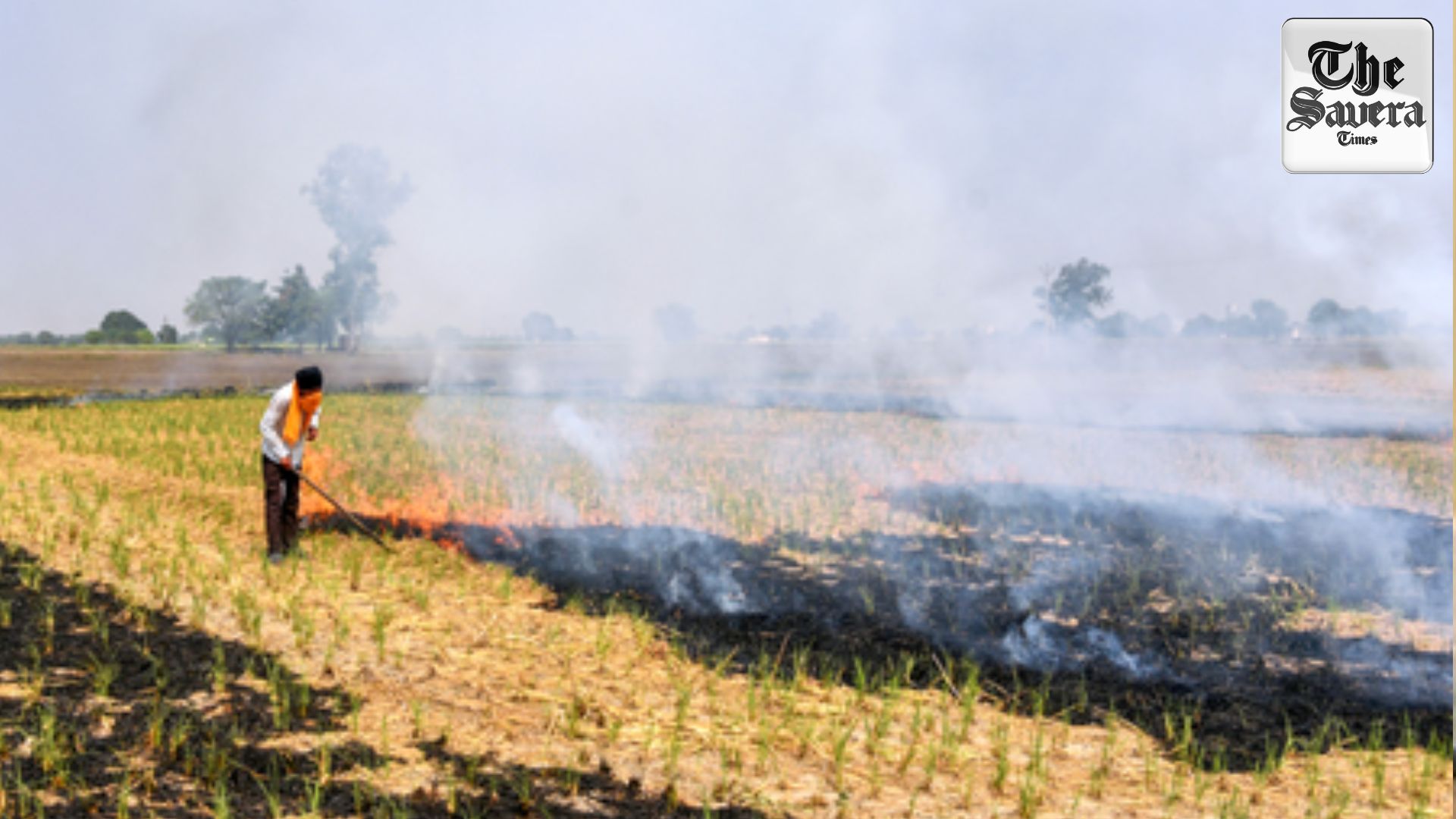 Punjab launches campaign on ill-effects of stubble burning