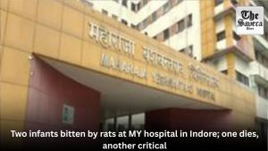 Two infants bitten by rats at MY hospital in Indore; one dies, another critical