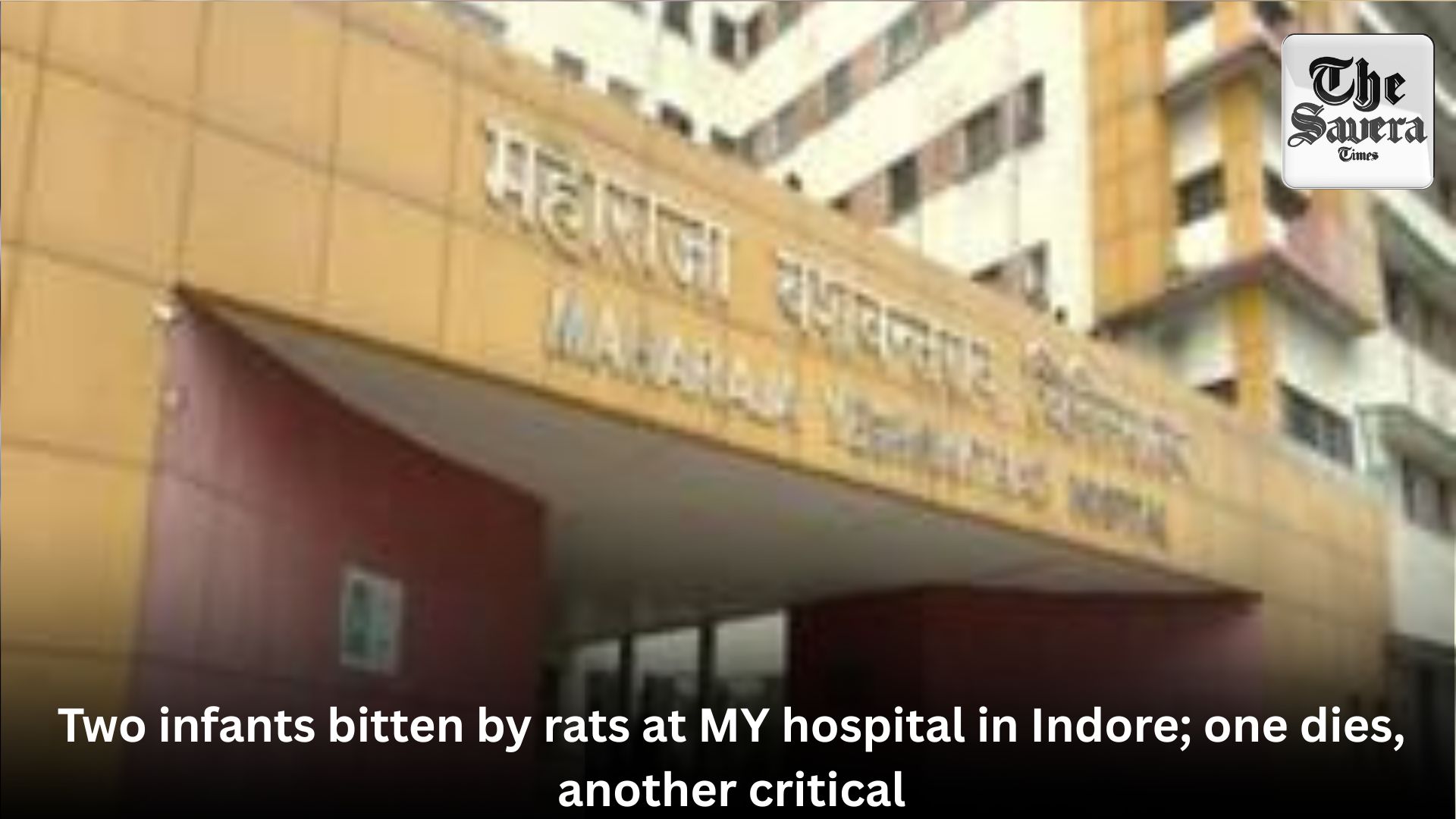 Two infants bitten by rats at MY hospital in Indore; one dies, another critical