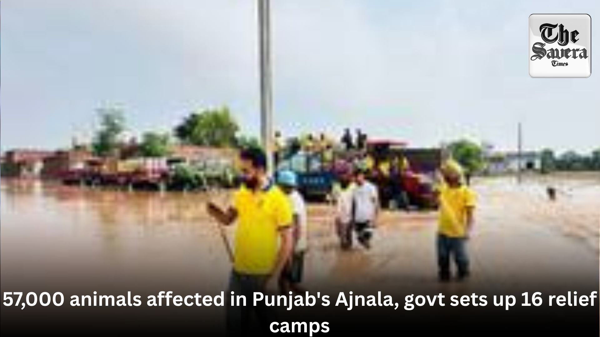 57,000 animals affected in Punjab’s Ajnala, govt sets up 16 relief camps