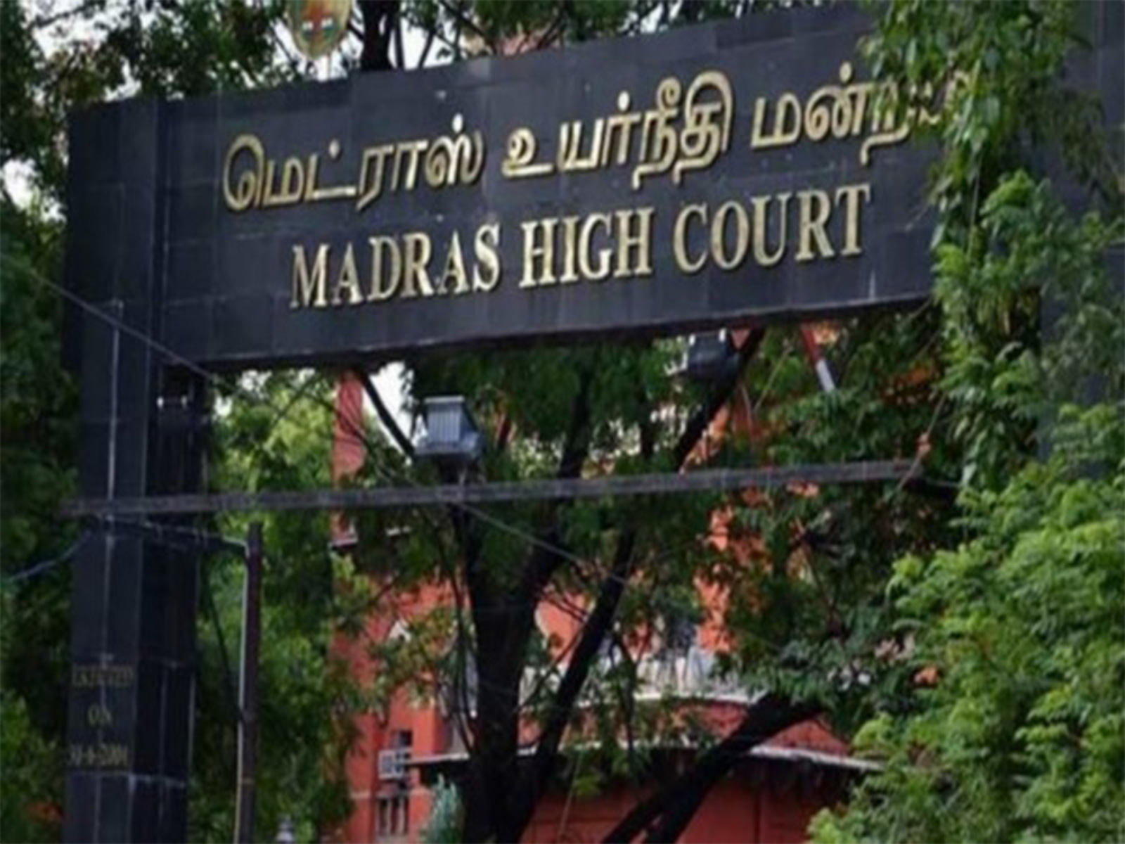 Tamil Nadu: TVK moves Madras HC seeking CBI probe into Karur stampede