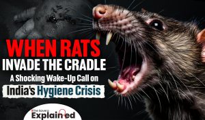 When Rats Invade the Cradle: A Shocking Wake-Up Call on India’s Hygiene Crisis