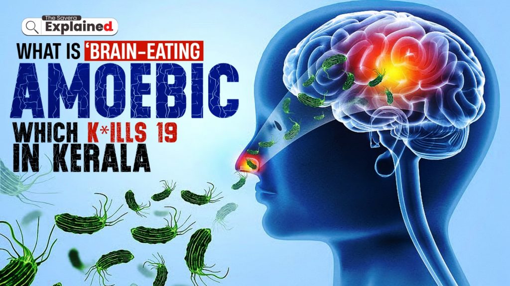 Brain-eating amoeba