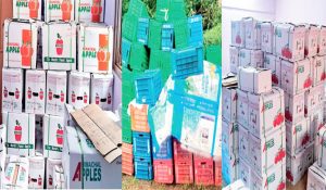 Horticulture disaster: 3.15 lakh boxes of apples stuck in Shimla, one lakh crates in Kullu