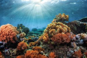 7 planetary boundaries breached