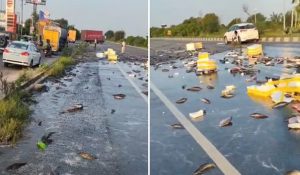Fish laden pickup vehicle overturned on Highway, driver injured
