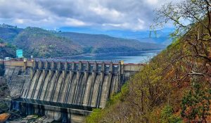 Himachal Pradesh braces for heavy rain: BBMB to release water from Pong Dam