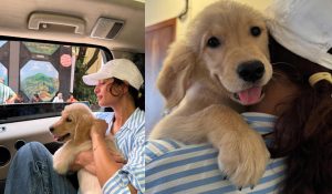 Tripti Dimri brings home her new fur baby Lychee ‘Our family just got bigger’