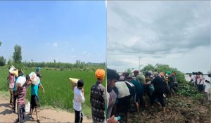 Udta Punjab no more! Youth high on spirit of ‘sewa’, ‘Chardi Kala’ helping in survival, revival of flood-ravaged state