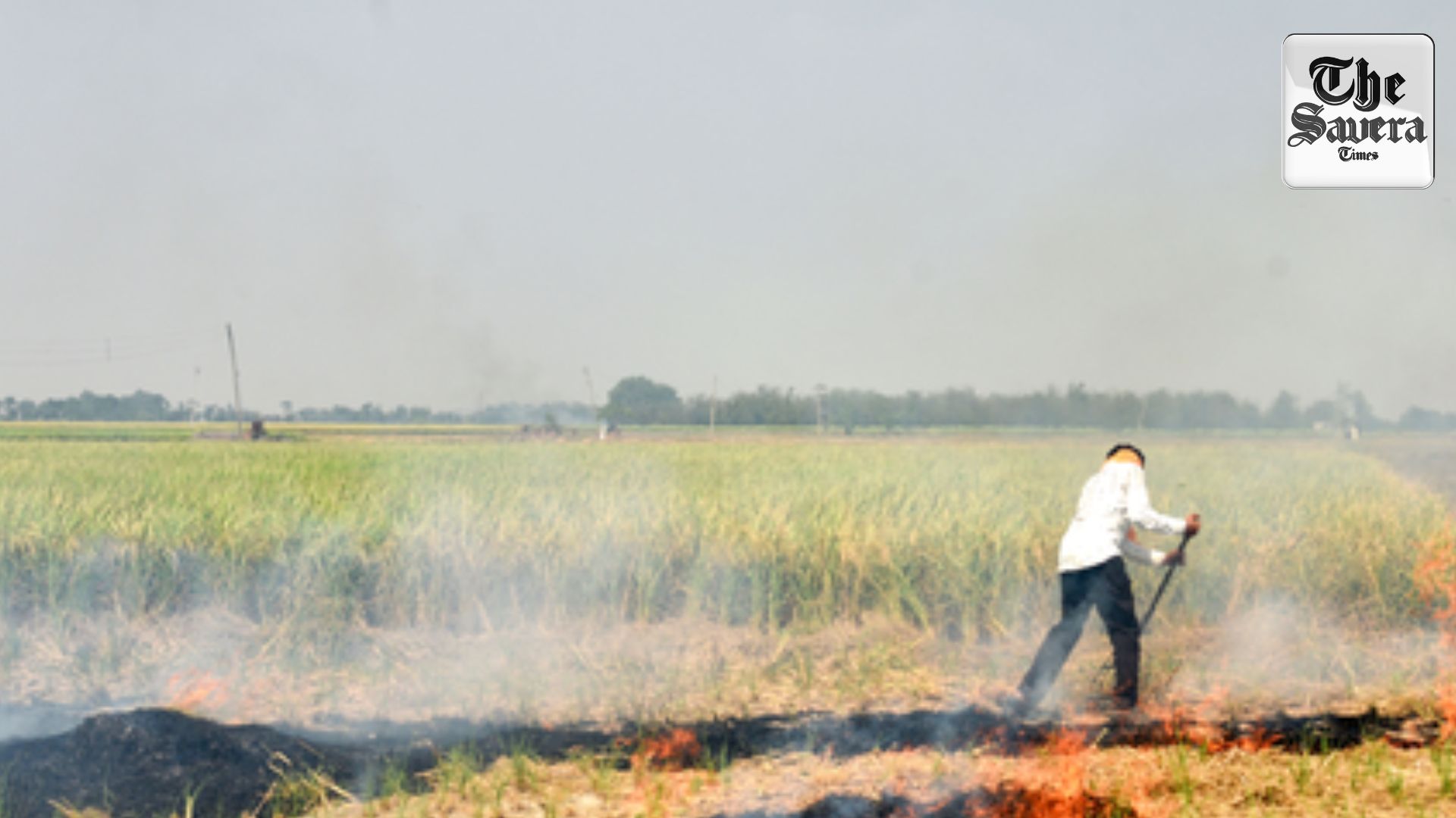 Four-fold reduction in farm fire cases: Punjab government